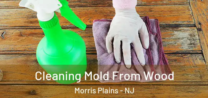  Cleaning Mold From Wood Morris Plains - NJ