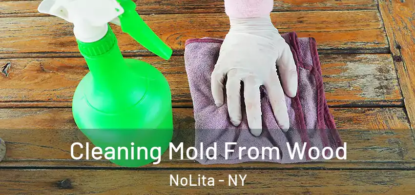 Cleaning Mold From Wood NoLita - NY