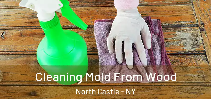  Cleaning Mold From Wood North Castle - NY