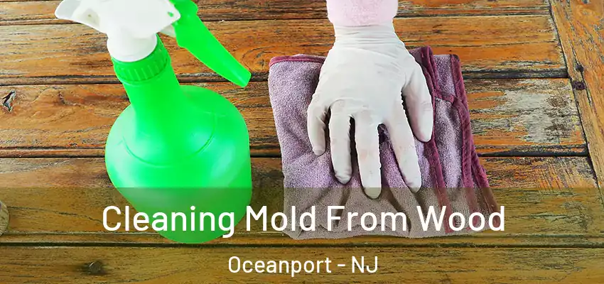  Cleaning Mold From Wood Oceanport - NJ