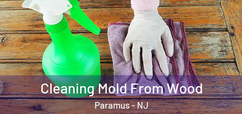 Cleaning Mold From Wood Paramus - NJ