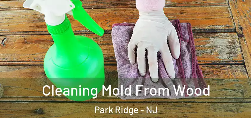 Cleaning Mold From Wood Park Ridge - NJ