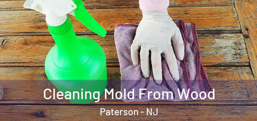  Cleaning Mold From Wood Paterson - NJ