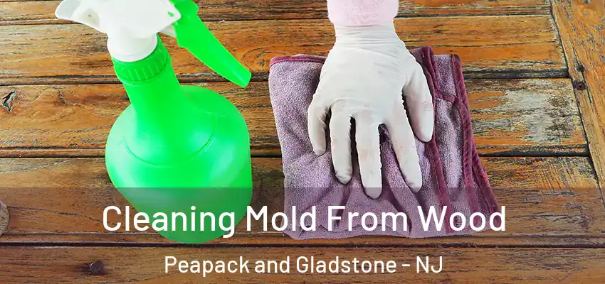 Cleaning Mold From Wood Peapack and Gladstone - NJ