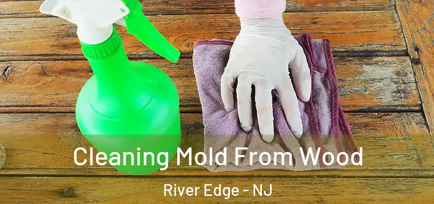 Cleaning Mold From Wood River Edge - NJ
