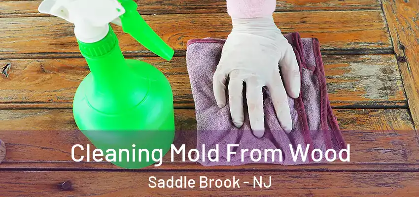 Cleaning Mold From Wood Saddle Brook - NJ
