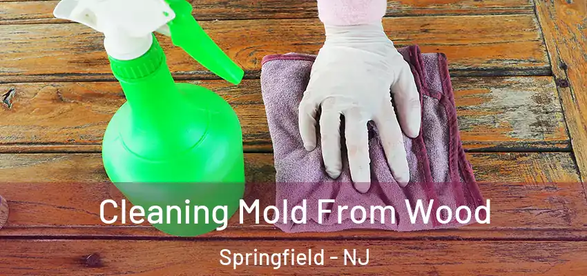  Cleaning Mold From Wood Springfield - NJ