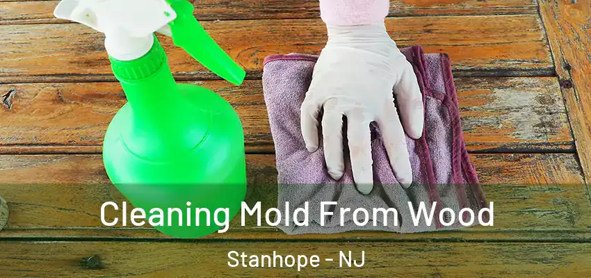  Cleaning Mold From Wood Stanhope - NJ