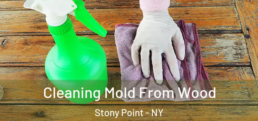  Cleaning Mold From Wood Stony Point - NY