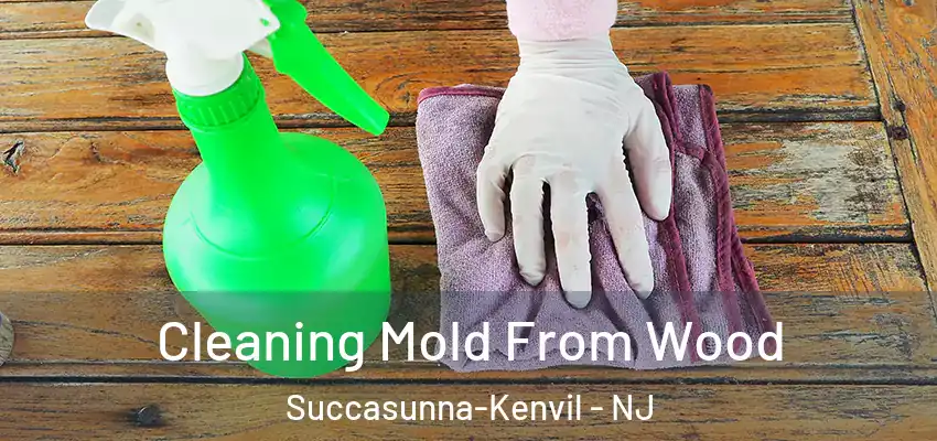  Cleaning Mold From Wood Succasunna-Kenvil - NJ