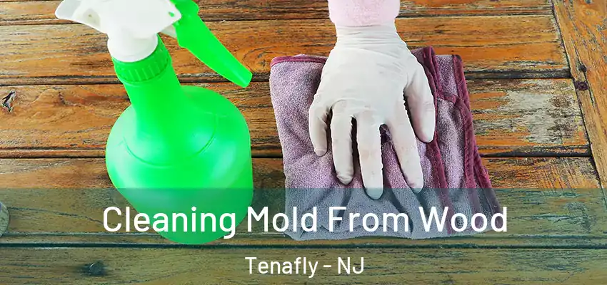 Cleaning Mold From Wood Tenafly - NJ