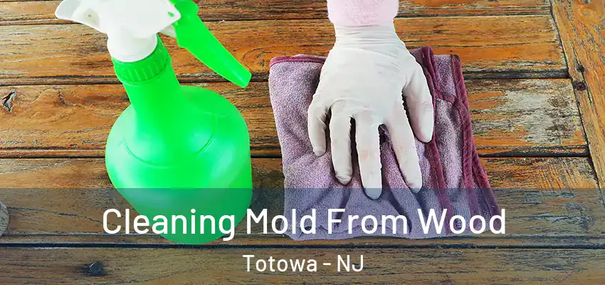 Cleaning Mold From Wood Totowa - NJ
