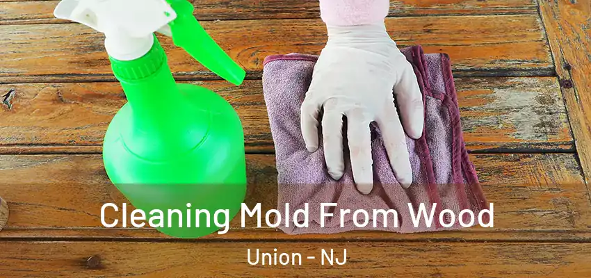  Cleaning Mold From Wood Union - NJ