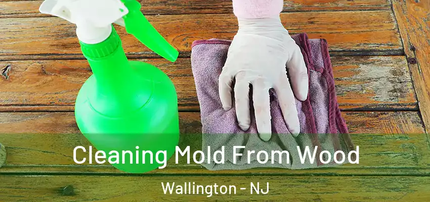 Cleaning Mold From Wood Wallington - NJ