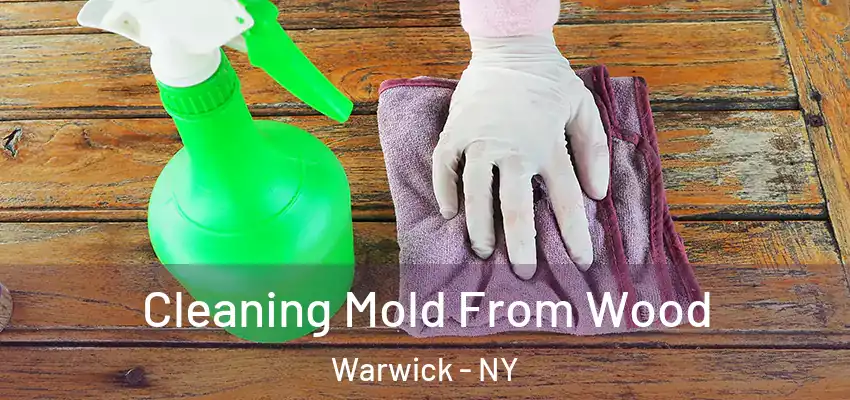  Cleaning Mold From Wood Warwick - NY