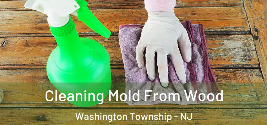 Cleaning Mold From Wood Washington Township - NJ