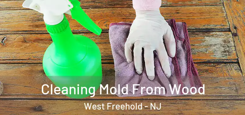 Cleaning Mold From Wood West Freehold - NJ