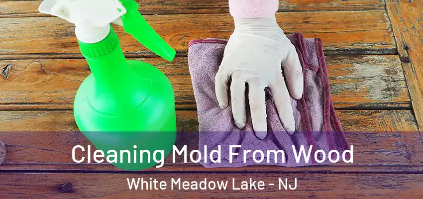 Cleaning Mold From Wood White Meadow Lake - NJ