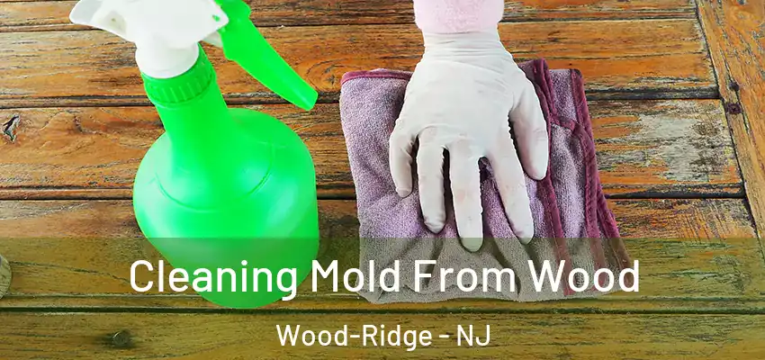 Cleaning Mold From Wood Wood-Ridge - NJ