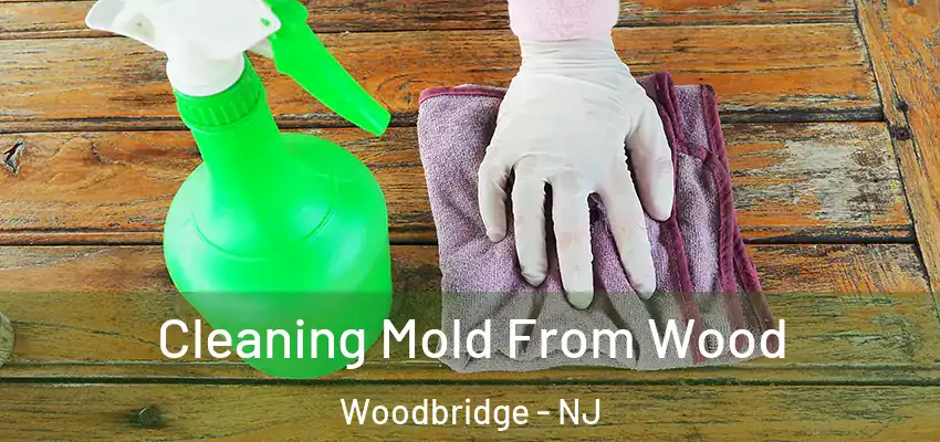 Cleaning Mold From Wood Woodbridge - NJ