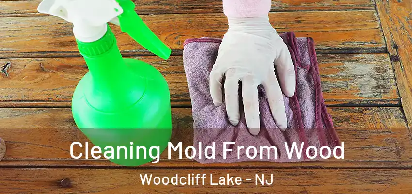 Cleaning Mold From Wood Woodcliff Lake - NJ