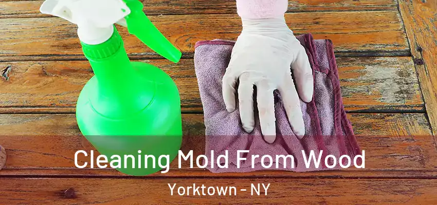 Cleaning Mold From Wood Yorktown - NY