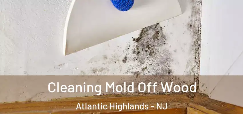  Cleaning Mold Off Wood Atlantic Highlands - NJ
