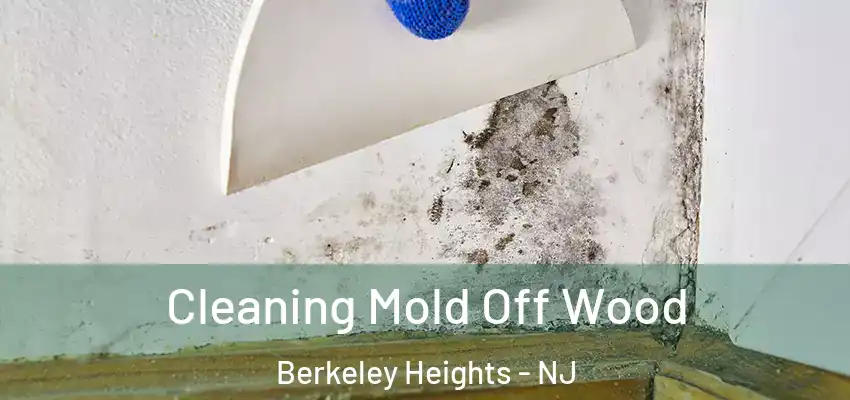Cleaning Mold Off Wood Berkeley Heights - NJ