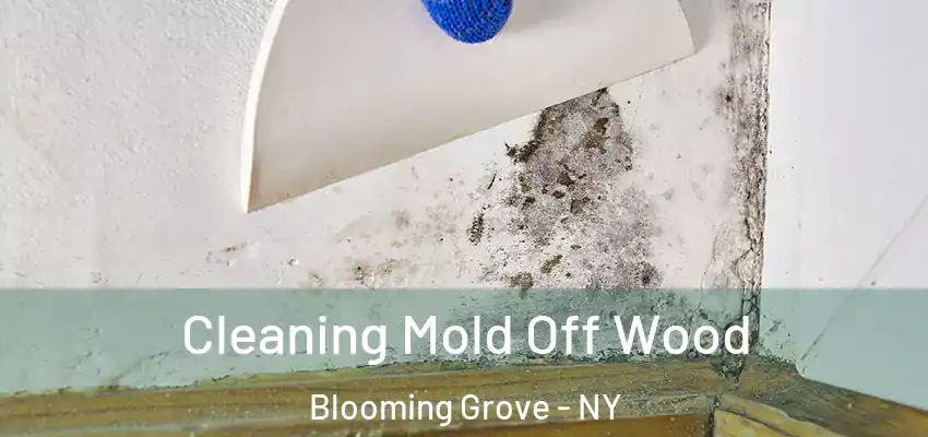  Cleaning Mold Off Wood Blooming Grove - NY