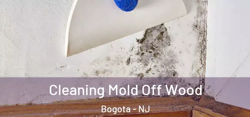  Cleaning Mold Off Wood Bogota - NJ