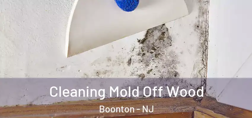  Cleaning Mold Off Wood Boonton - NJ
