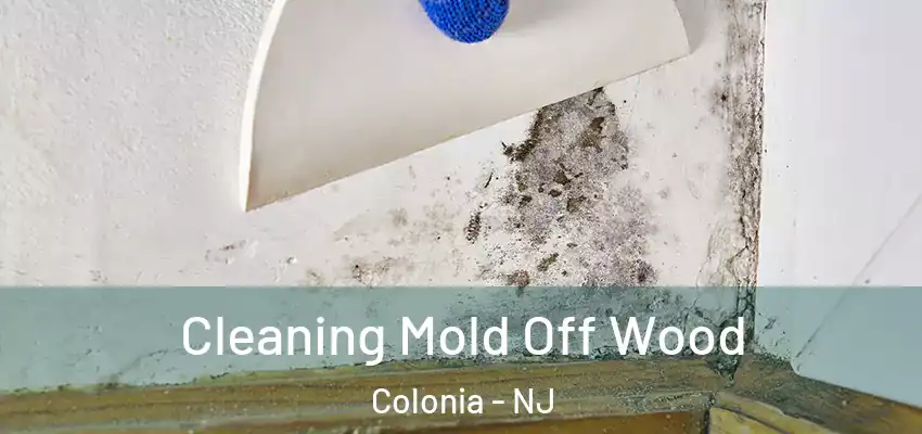 Cleaning Mold Off Wood Colonia - NJ