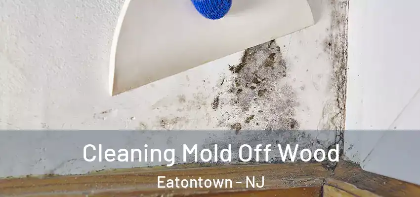  Cleaning Mold Off Wood Eatontown - NJ