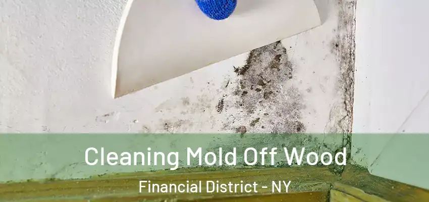 Cleaning Mold Off Wood Financial District - NY