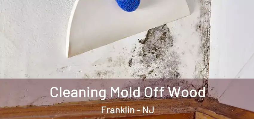 Cleaning Mold Off Wood Franklin - NJ