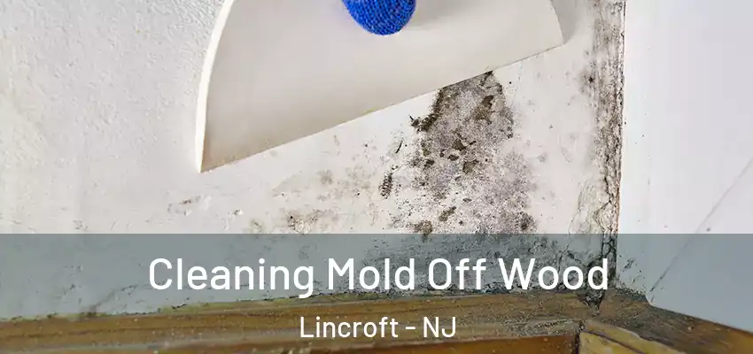 Cleaning Mold Off Wood Lincroft - NJ