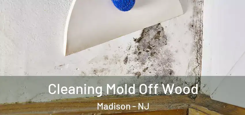 Cleaning Mold Off Wood Madison - NJ