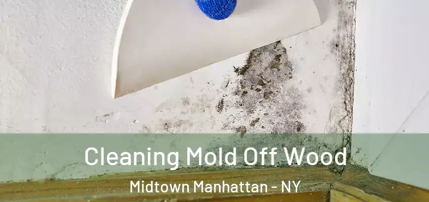 Cleaning Mold Off Wood Midtown Manhattan - NY