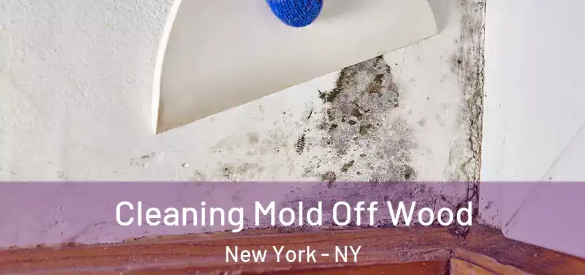 Cleaning Mold Off Wood New York - NY