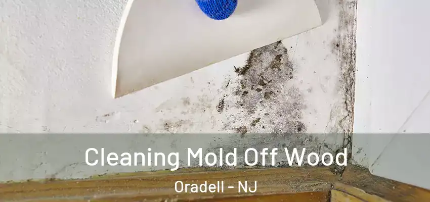  Cleaning Mold Off Wood Oradell - NJ