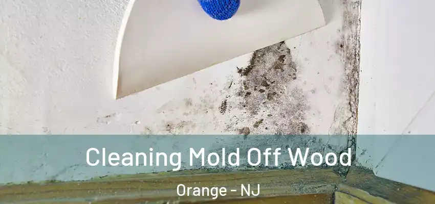 Cleaning Mold Off Wood Orange - NJ