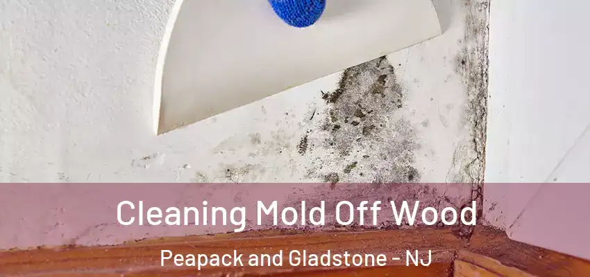 Cleaning Mold Off Wood Peapack and Gladstone - NJ