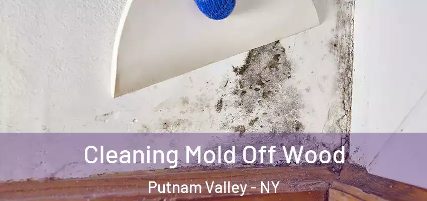 Cleaning Mold Off Wood Putnam Valley - NY