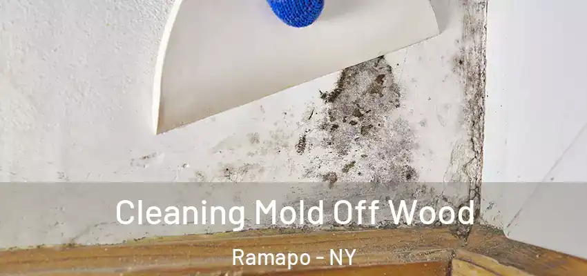 Cleaning Mold Off Wood Ramapo - NY