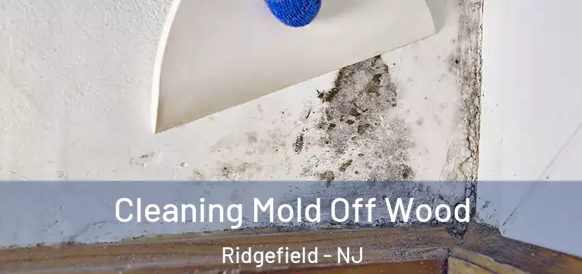  Cleaning Mold Off Wood Ridgefield - NJ
