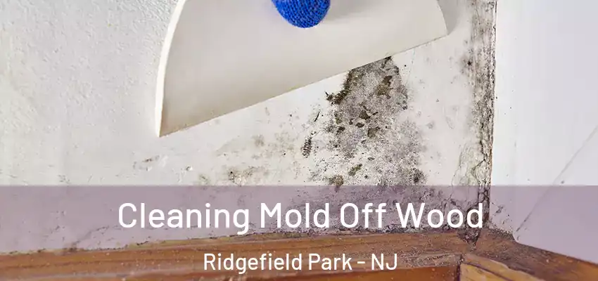 Cleaning Mold Off Wood Ridgefield Park - NJ