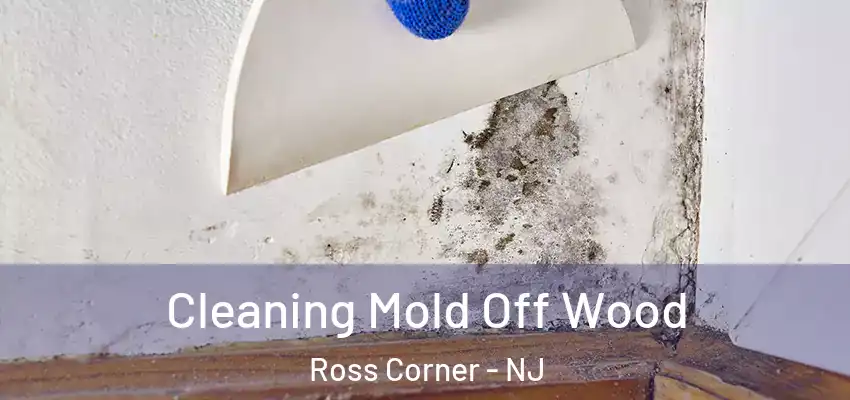 Cleaning Mold Off Wood Ross Corner - NJ