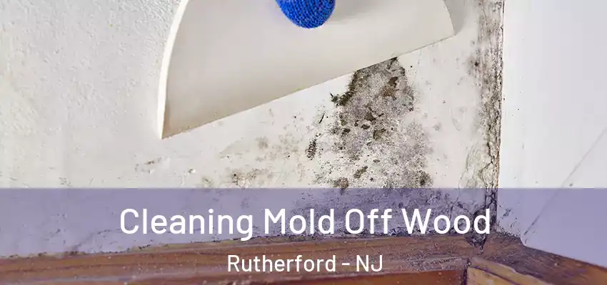 Cleaning Mold Off Wood Rutherford - NJ