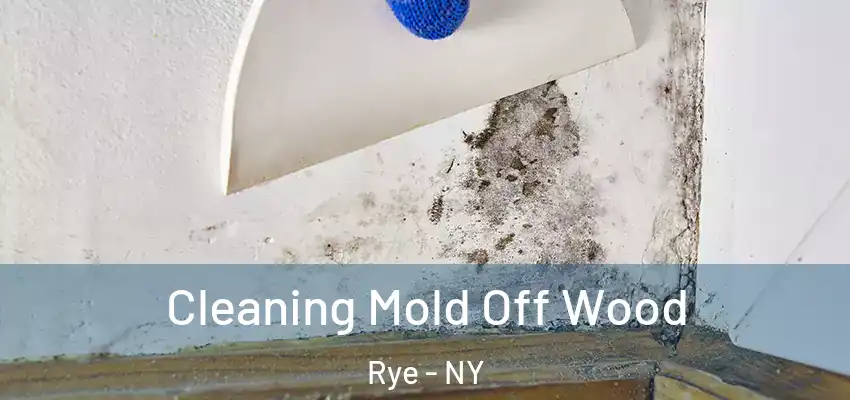  Cleaning Mold Off Wood Rye - NY