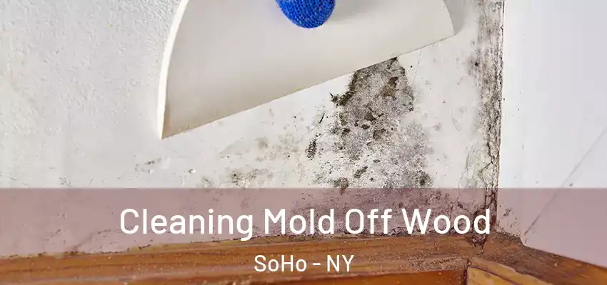  Cleaning Mold Off Wood SoHo - NY